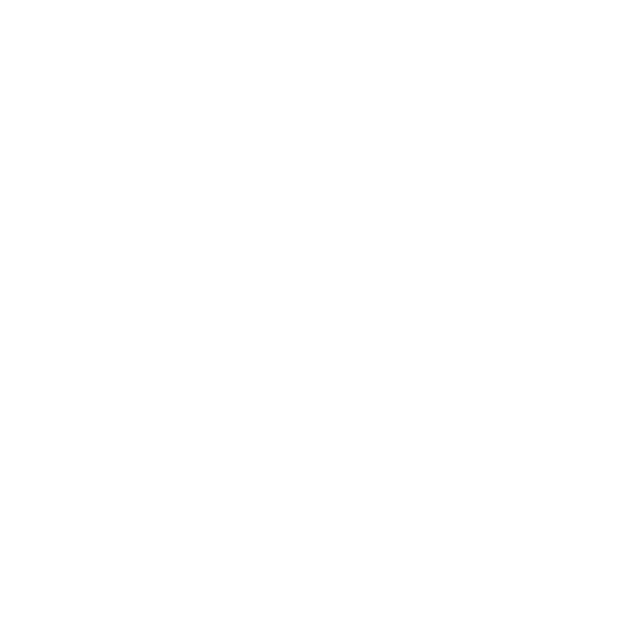 Paracosm Interactive Logo